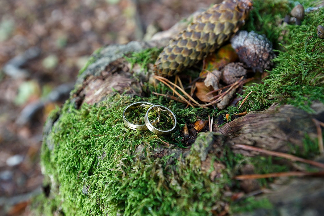 fotograf Koszalin, fotografia ślubna, sesje ślubne, fotograf ślub, sesja ślubna morze, fotograf wesele, fotoreportaż ślub, fotograf Połczyn Zdrój, Świdwin, Szczecinek, zdjęcia ślubne w plenerze,